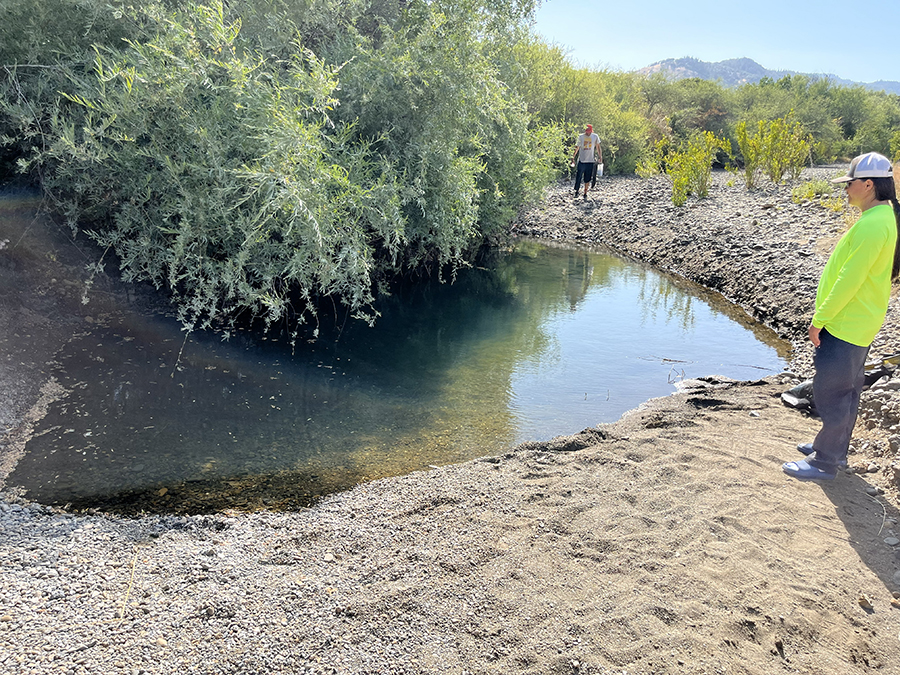 Isolated pool on creek. CDFW photo